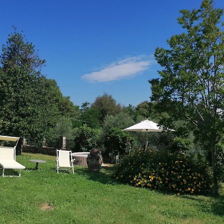 La Vedetta Apartment Лука Екстериор снимка